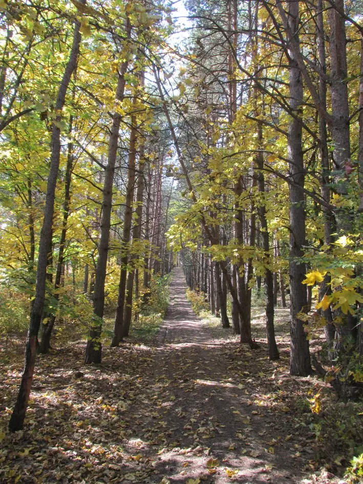 mezhdu-alikonovkoy-i-berezovkoy-8