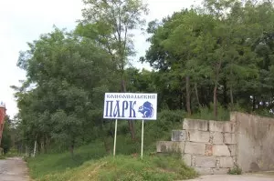 1заросли