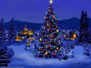 christmas-tree-nature-wallpaper