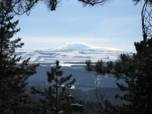 ПАРК В ПОЭЗИИ. Татьяна БРУНЬКО