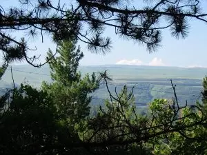 ПАРК В ПОЭЗИИ. Татьяна БРУНЬКО.