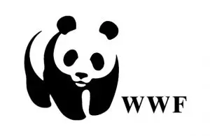 WWF КАК ВАЖНЕЙШАЯ ОРГАНИЗАЦИЯ НА ЗЕМЛЕ