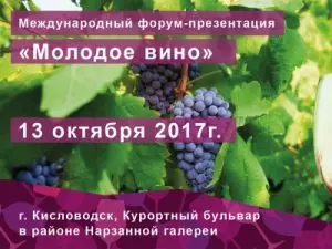  В ПЯТНИЦУ У КОЛОННАДЫ СОСТОИТСЯ МЕЖДУНАРОДНЫЙ ФОРУМ-ПРЕЗЕНТАЦИЯ «МОЛОДОЕ ВИНО»