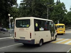 АВТОИНСПЕКТОРЫ РАЗЫСКИВАЮТ ВОДИТЕЛЯ, СКРЫВШЕГОСЯ С МЕСТА ПРОИСШЕСТВИЯ