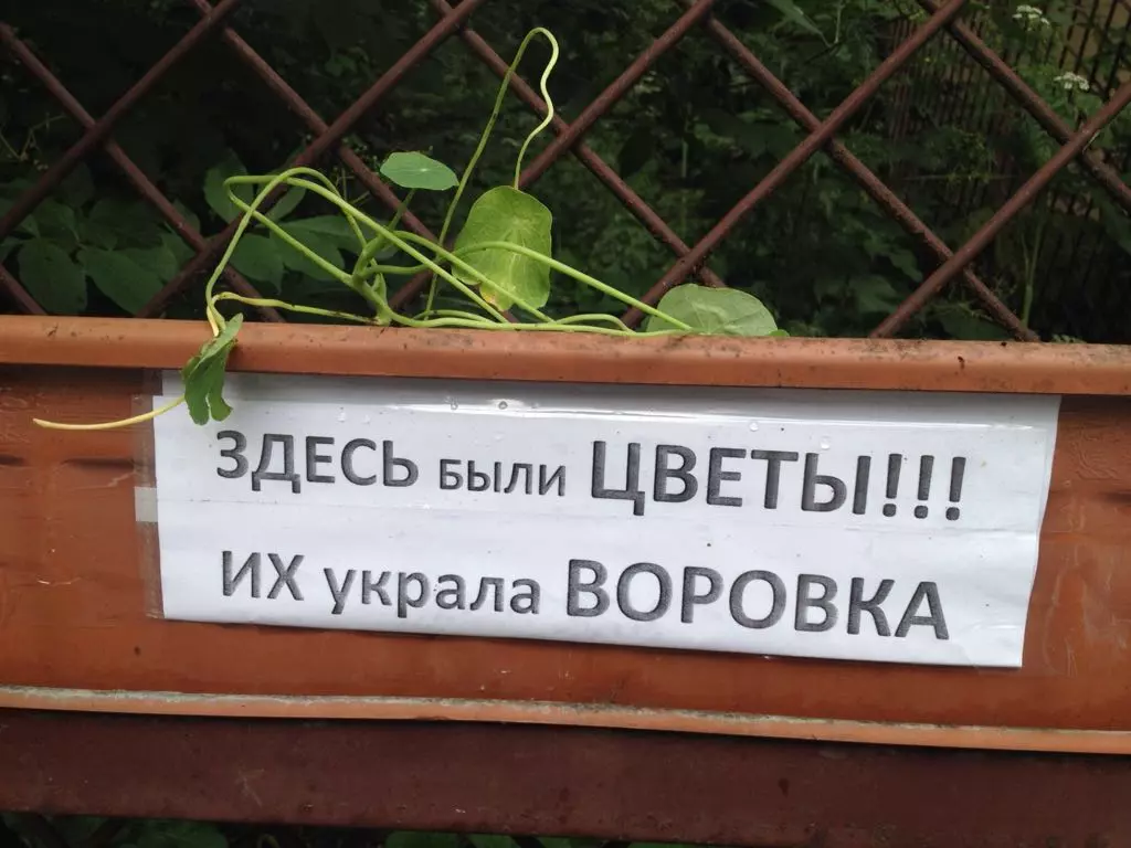 Будете здесь. Объявление для воров на даче. Табличка про воровство. Таблички на клумбах для воров. Табличка для воров растений.